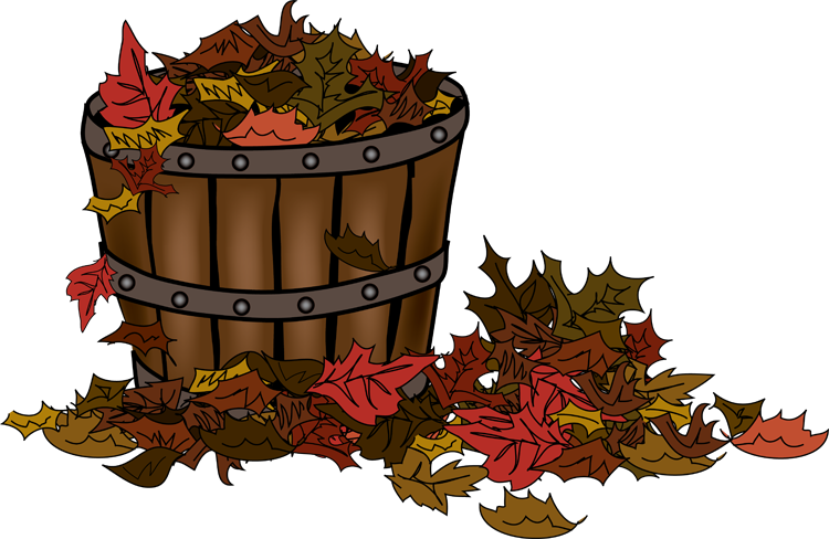 Basket Of Fall Leaves