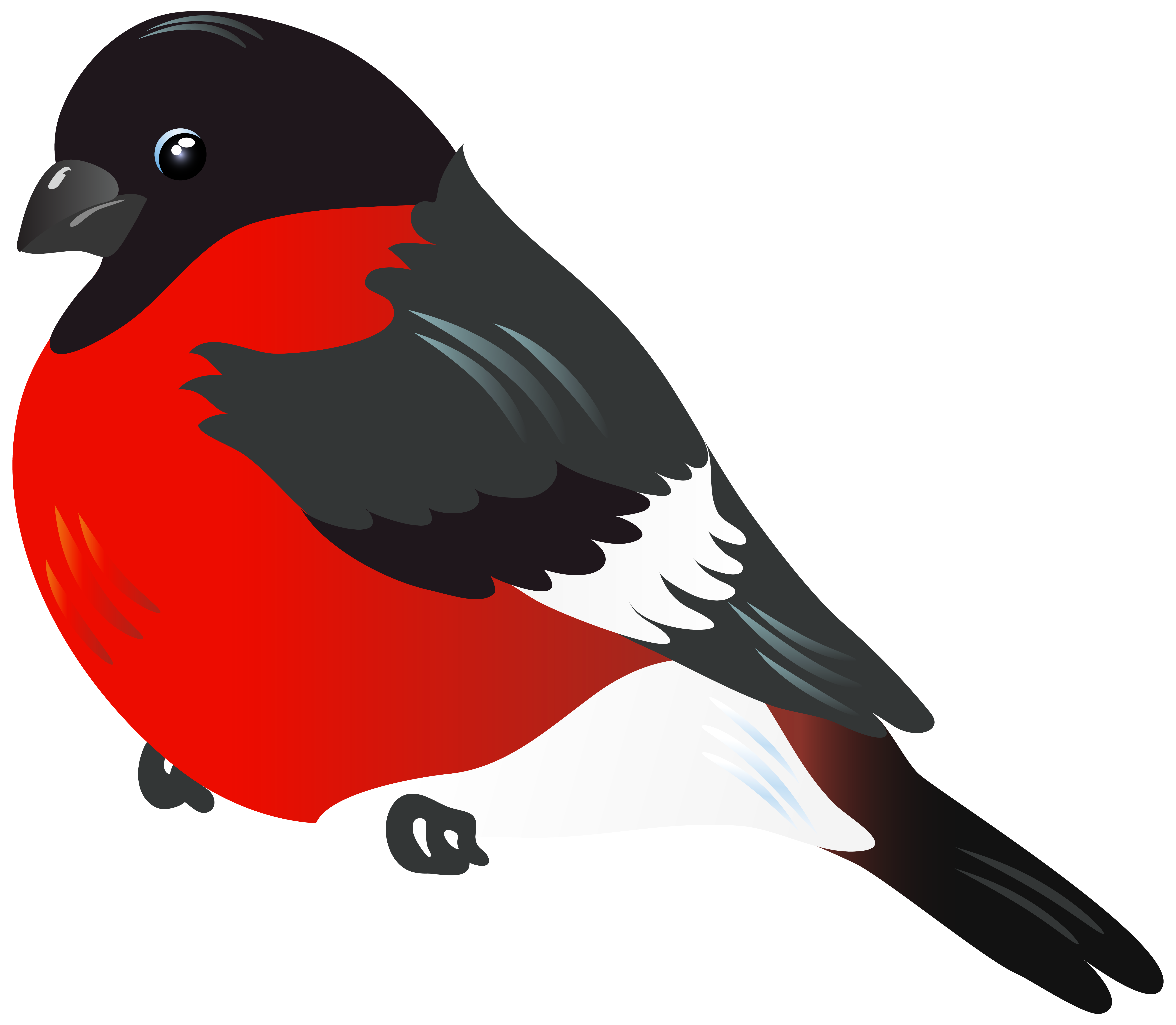 Red Bird PNG Clipart Image