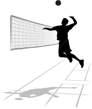 Cartoon Volleyball Net