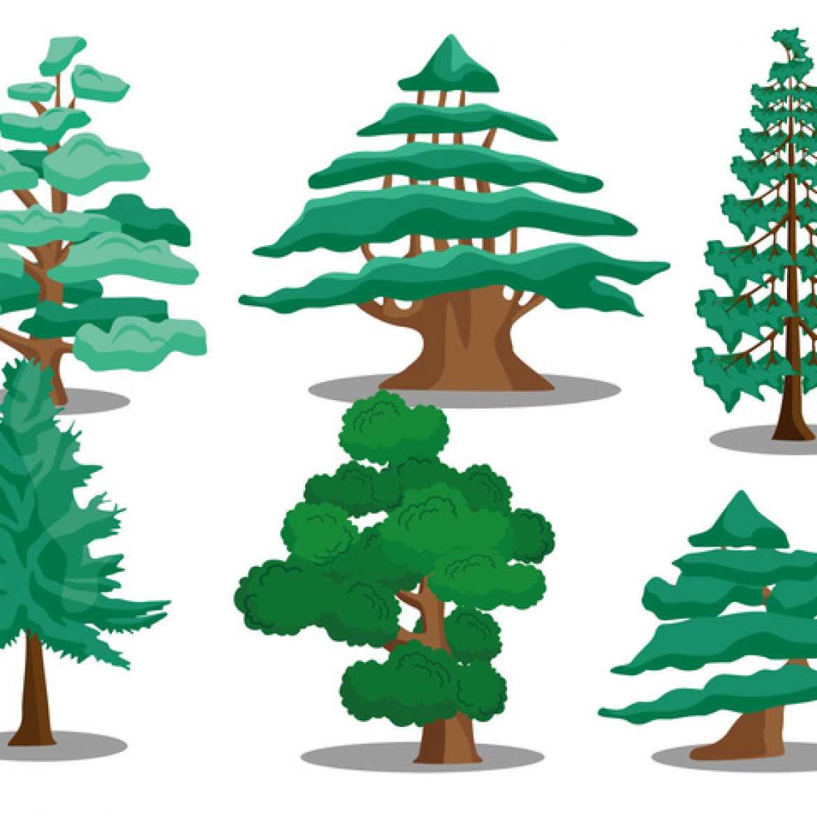 clipart cedar tree - photo #46