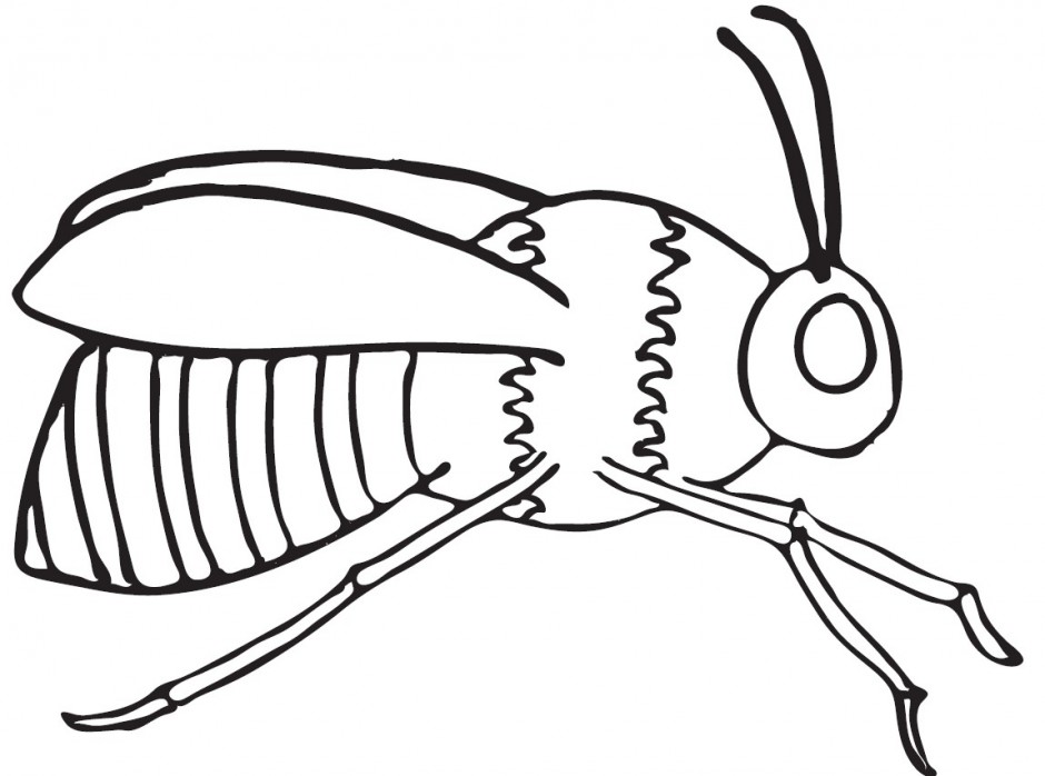 clip art bee line drawing - photo #29