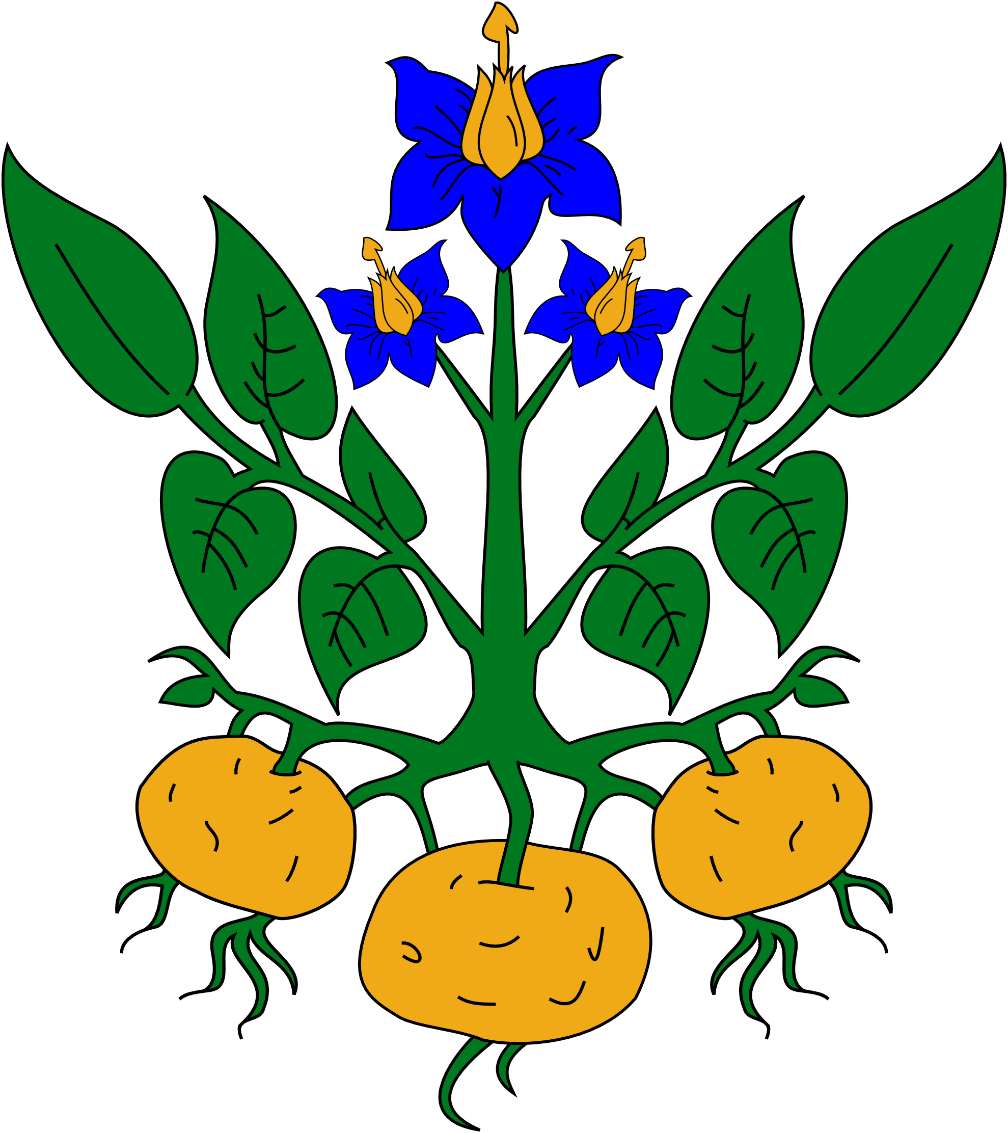 Parts Of A Plant Clipart - Free Clipart Images