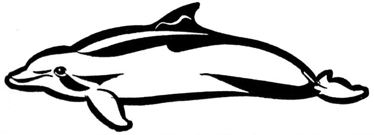 Dolphin_Logo_Design_by_EJJS.jpg