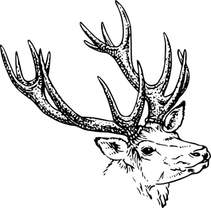 Deer Head Vector - Download 1,000 Silhouettes (Page 1)