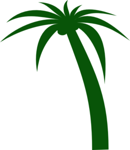 Coconut Tree clip art - vector clip art online, royalty free ...