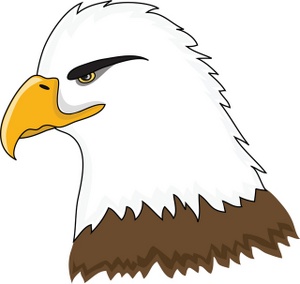 Bald Eagle Clipart Image - Squinting Bald Eagle in Profile
