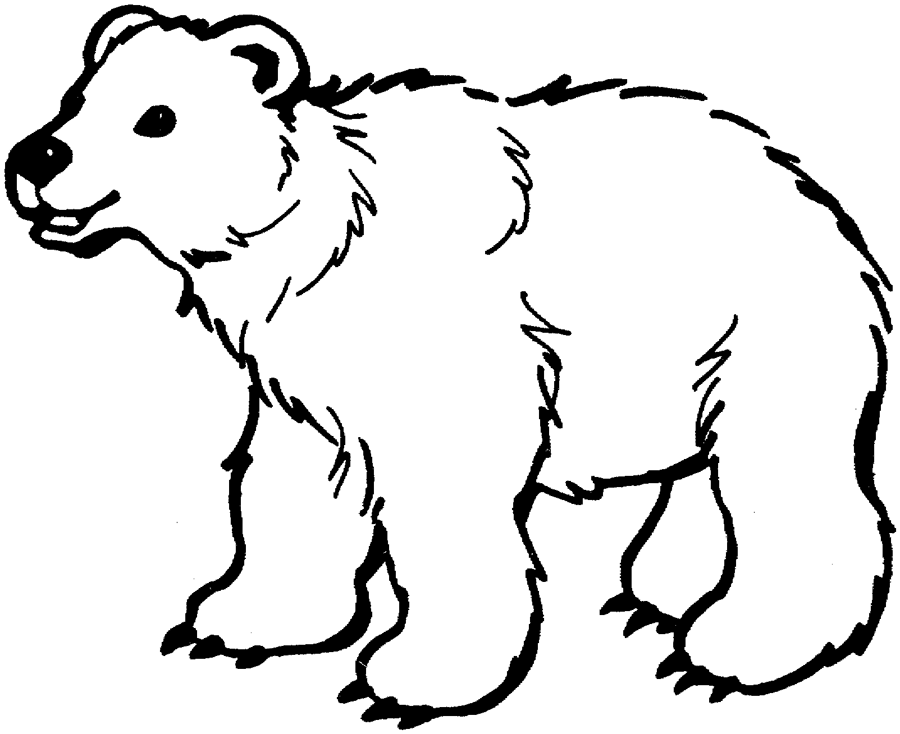 Coloring page: polar bear | Free printable downloads from ChoreTell