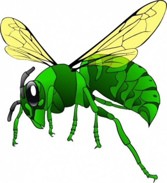 Green Hornet clip art | Download free Vector