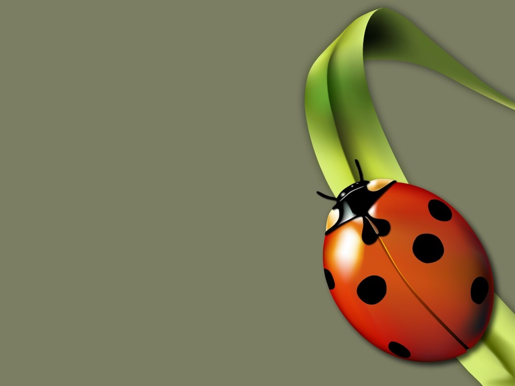 cute ladybug 35857