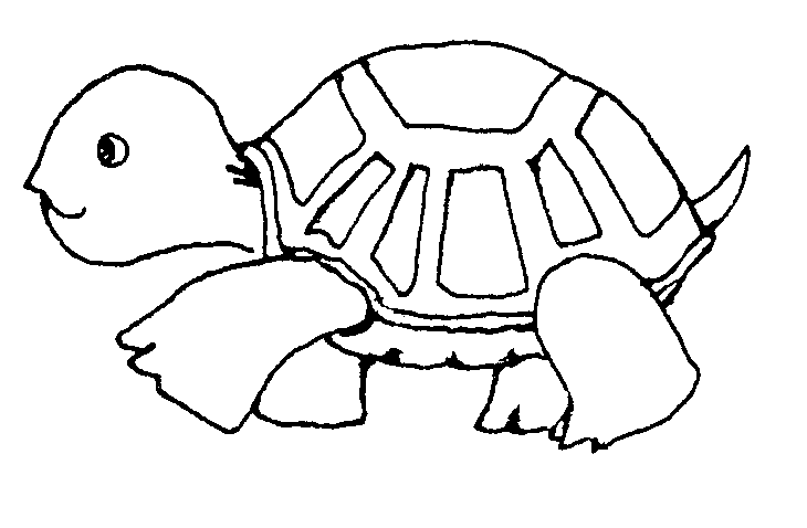 clipart turtle black and white - photo #7