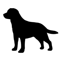 Black Lab Outline