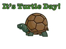 Happy Turtle Day GIF - Turtleday DanaCarvey - Discover & Share GIFs