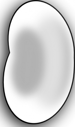Jelly Bean Black And White Clipart