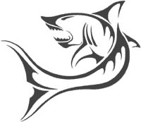 Shark Tattoo Drawing Designs