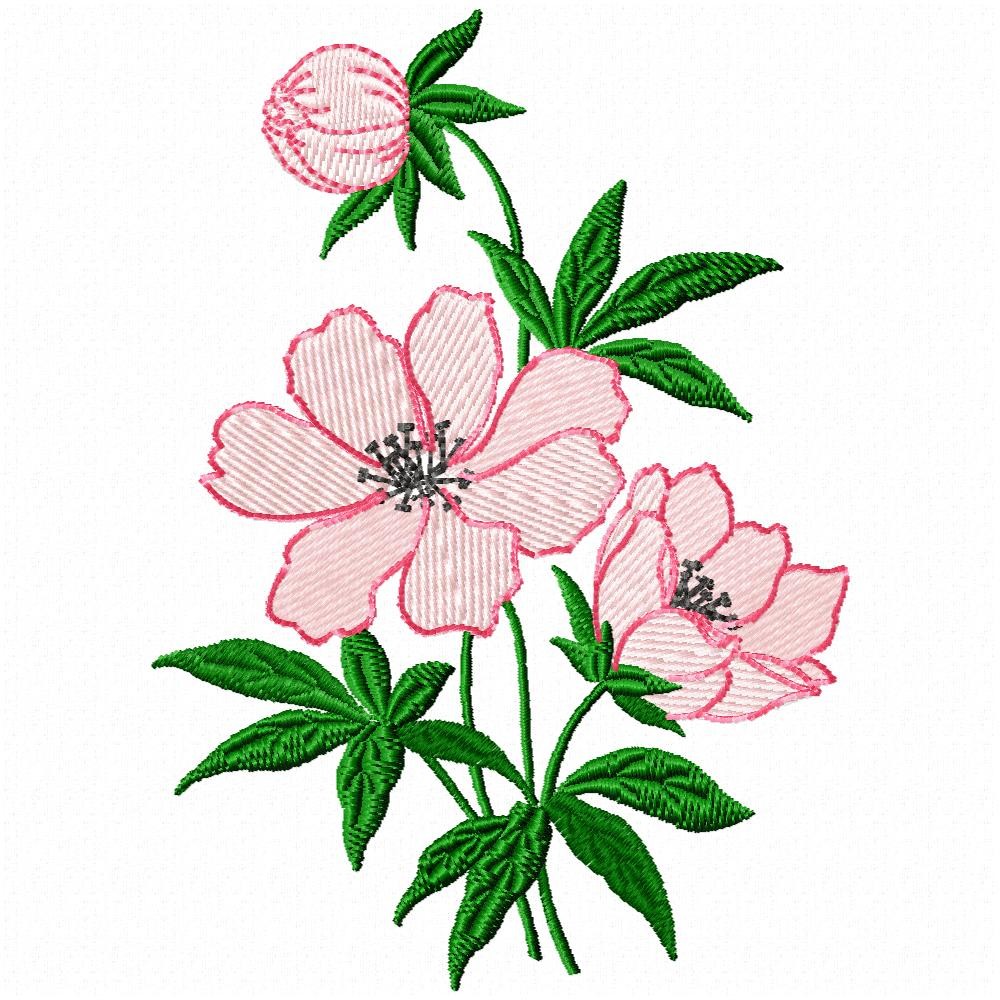 Single Peony Flower Embroidery Design for by TerraNovaEmbroidery