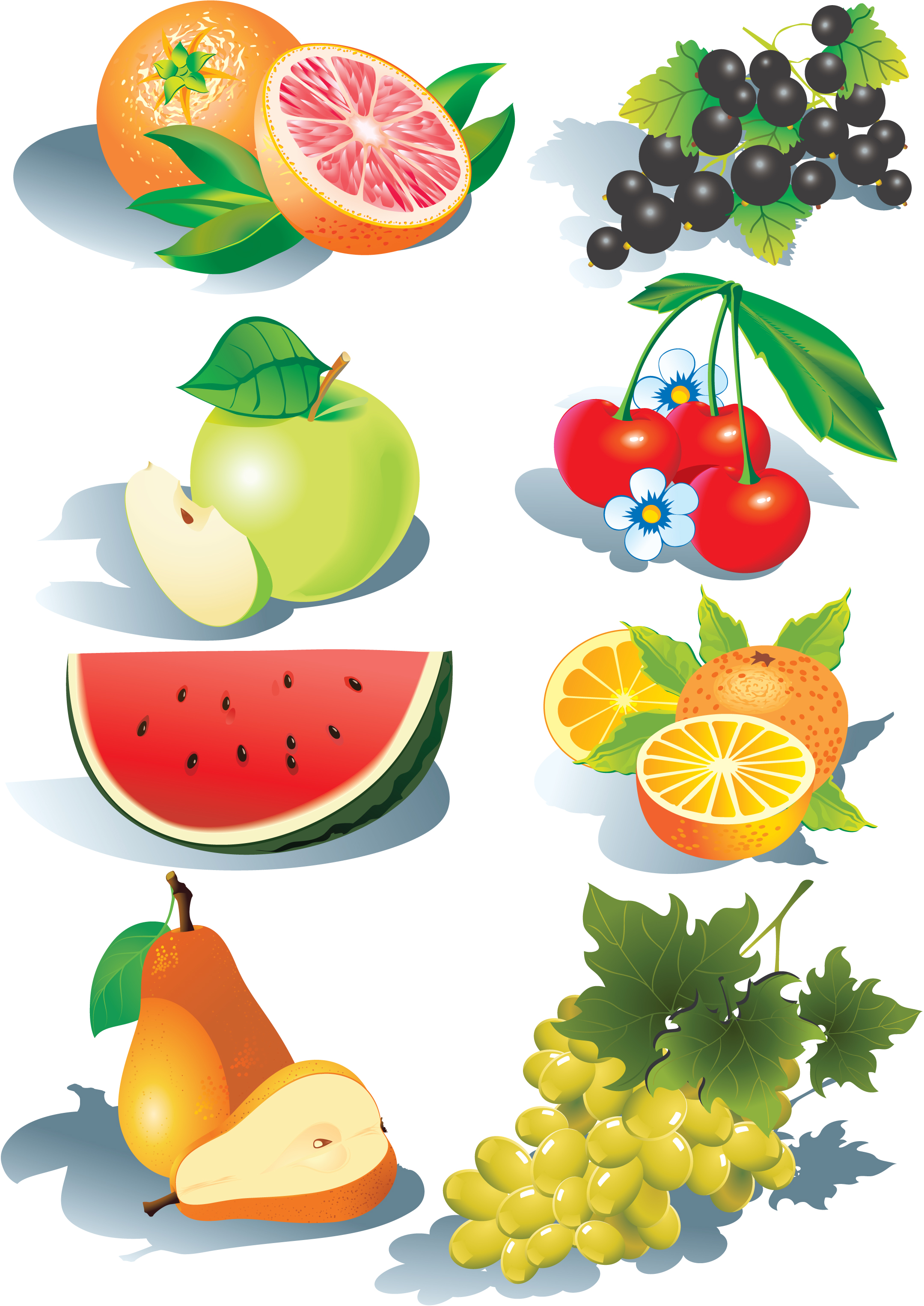 Fruit Vector | Free Download Clip Art | Free Clip Art | on Clipart ...