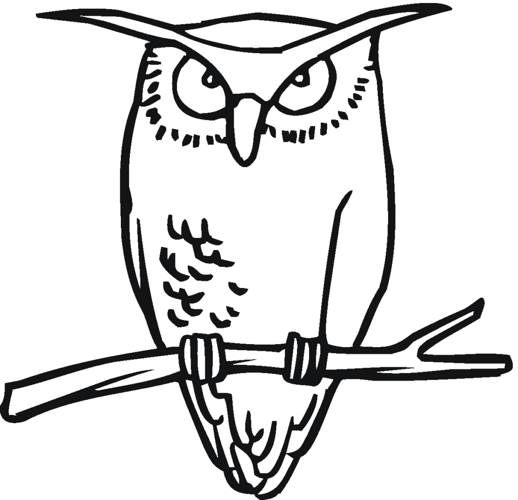 Free Coloring Pages: Free Printable Owl Coloring Pages For Kids ...