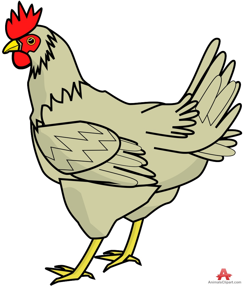 free chicken clipart pictures - photo #48