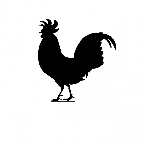 Rooster outline clipart