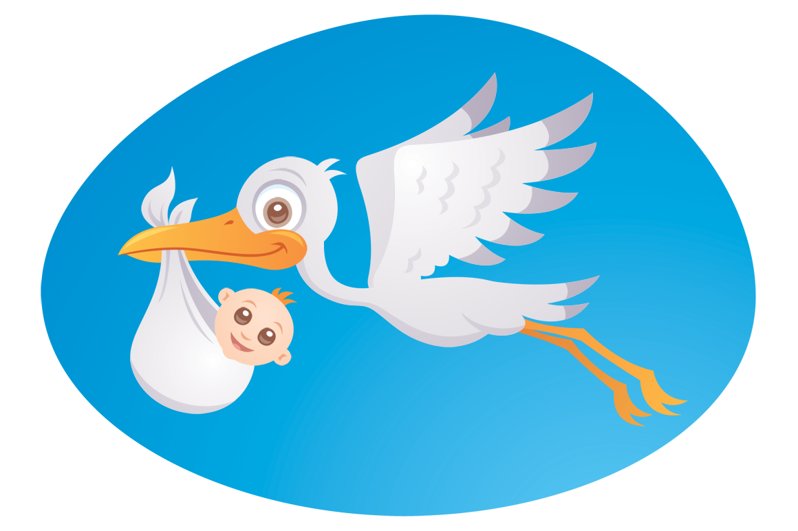 Baby Delivery Stork – John Schwegel