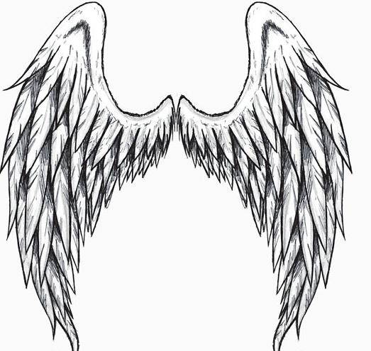 List of angel Wing Shirt Pictures on TCS
