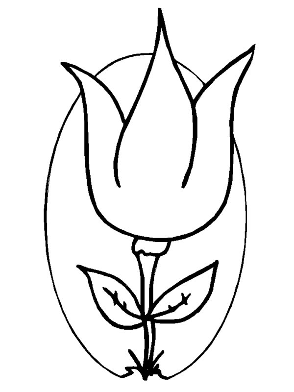 Cartoon Tulip Coloring Pages Picture 25 – Beautiful Flower ...