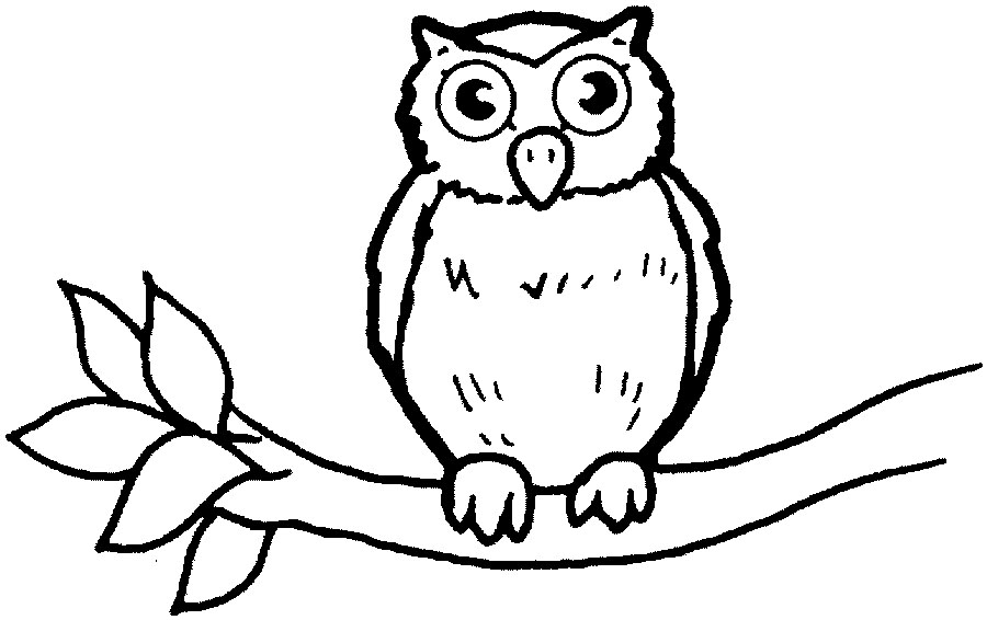 Owl Clipart Image Cartoon Sitting On A Tree Branch At Night ...