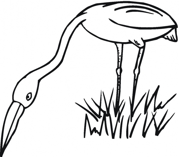 Egret On Grass coloring page | Super Coloring
