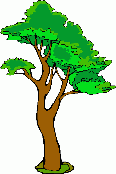 Gambar Kartun Pohon Pohon - ClipArt Best