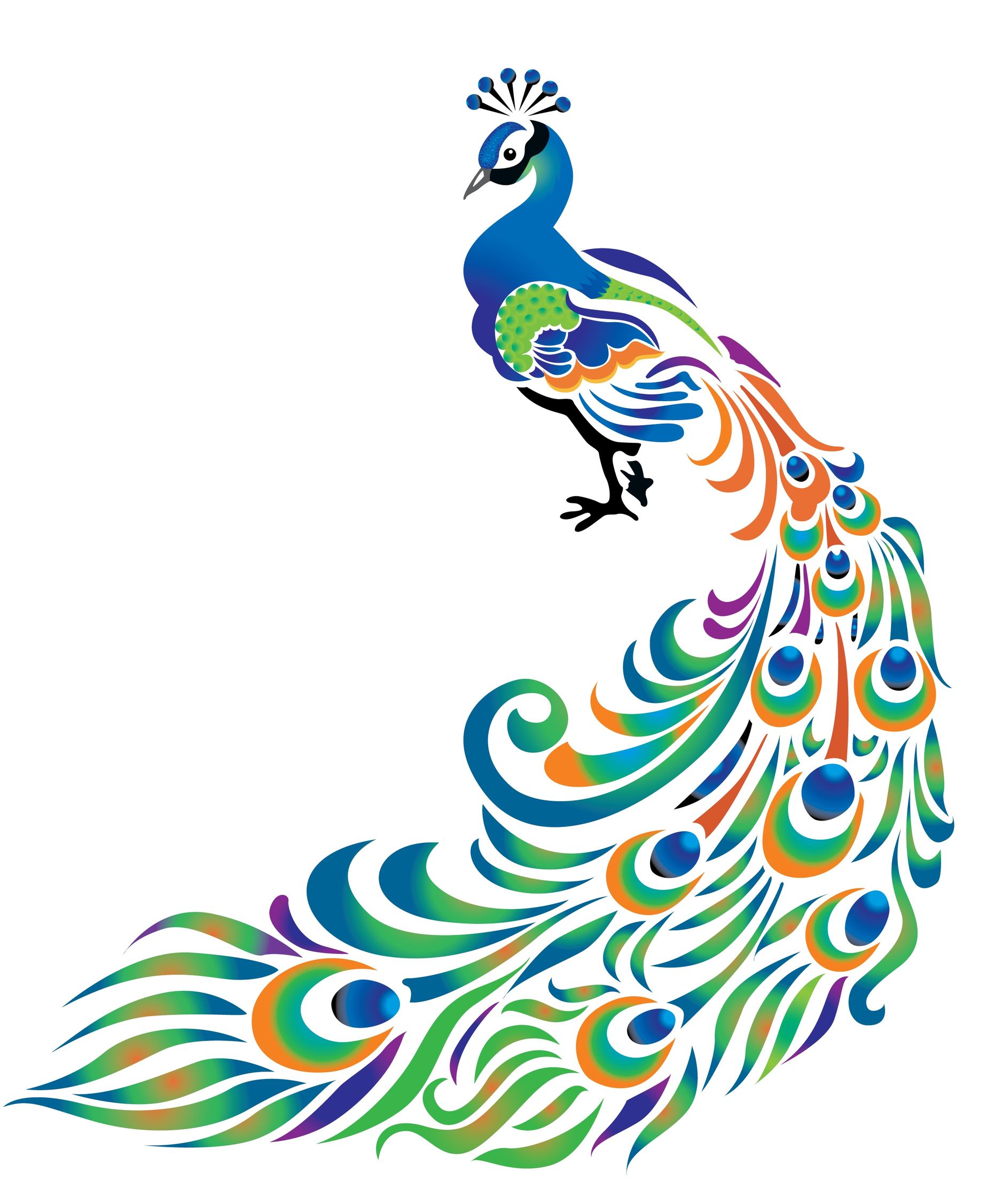 1000+ images about Peacocks | Artworks, Clip art and ...