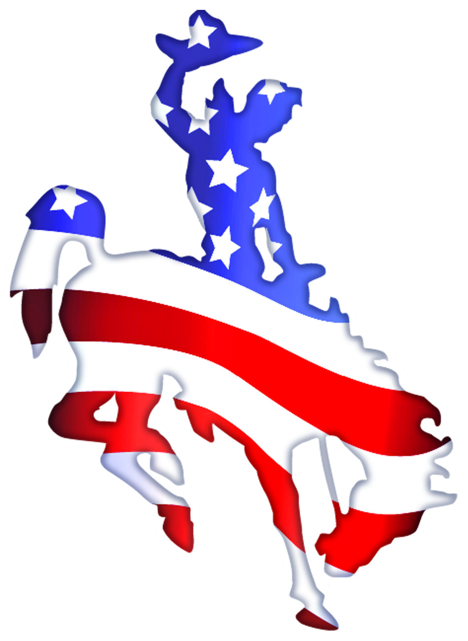 TB Patriotic Bucking Horse Decal