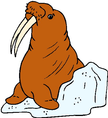 Walrus Clip Art Free - Free Clipart Images - ClipArt Best - ClipArt Best