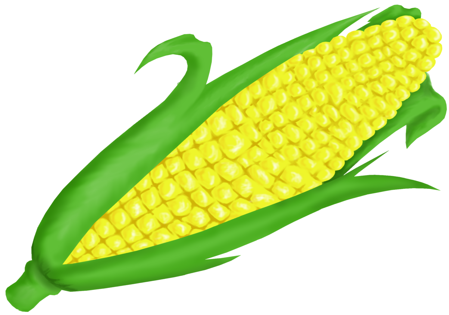 ear of corn clipart - photo #2