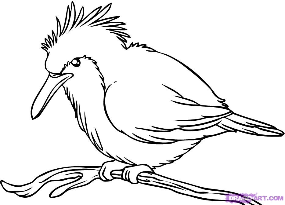Line Art Birds : Line drawing birds imgkid the image kid has it