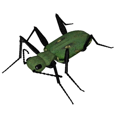 free bugs Clipart bugs icons bugs graphic