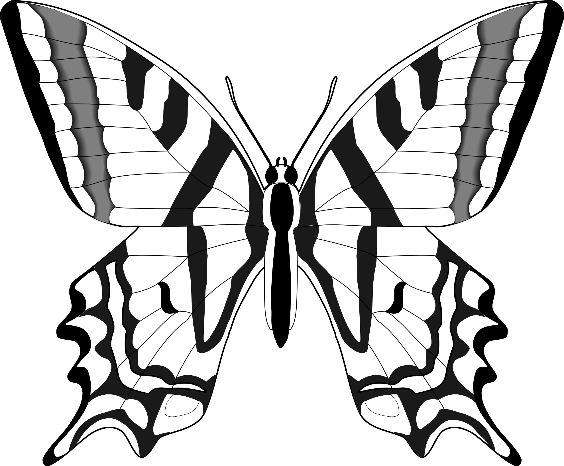 Butterflies Black And White - ClipArt Best