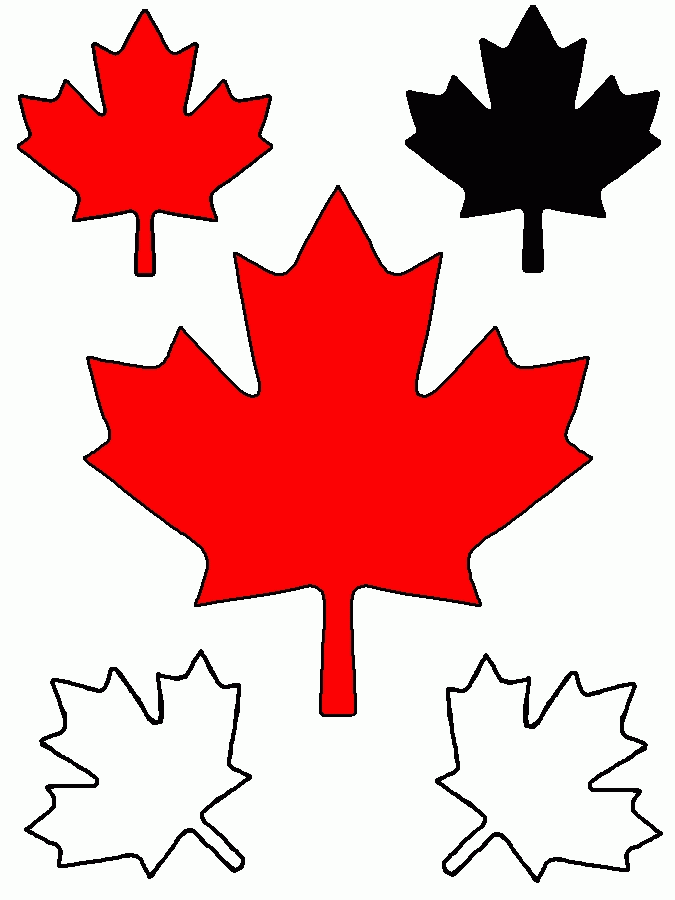 clipart maple leaf outline - photo #39