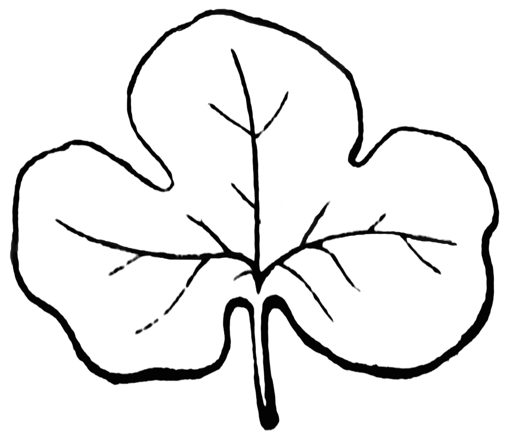 Maple Leaf Stencil Printable ClipArt Best