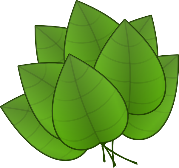 Beanstalk Leaf Template - ClipArt Best