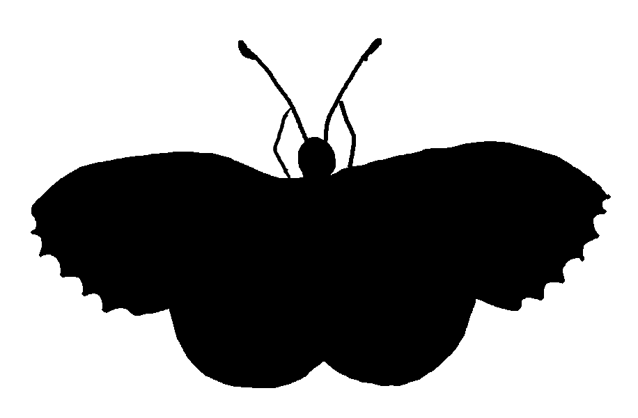 butterfly silhouette clip art free - photo #32