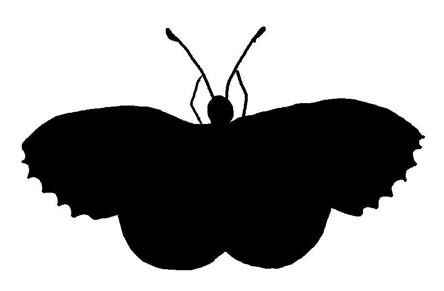 Butterfly Silhouette Stock | Right-Brained Mama