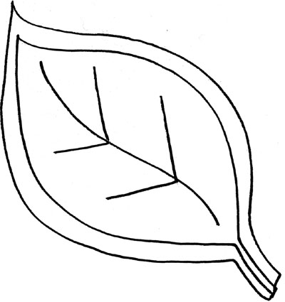 Leaf Outline Template - ClipArt Best