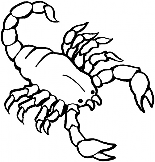Drawings Of Scorpions - ClipArt Best