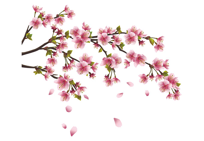 Flowers & Trees - Pink Hydrangea