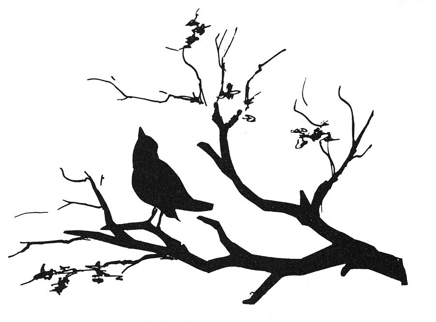 Bird On Branch Clip Art