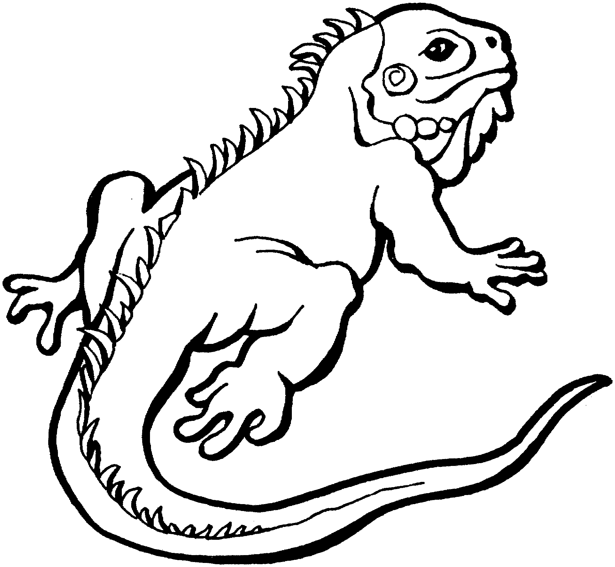 Iguana Clipart Black And Whiteallaboutbeauty21