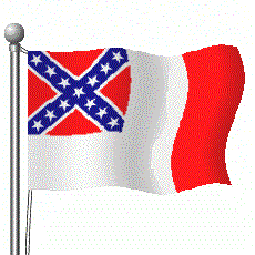 ANIMATED 3RD NATIONAL CONFEDERATE FLAG gif by georgia-redneck ...