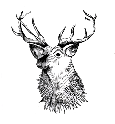 Drawings on Behance - ClipArt Best - ClipArt Best