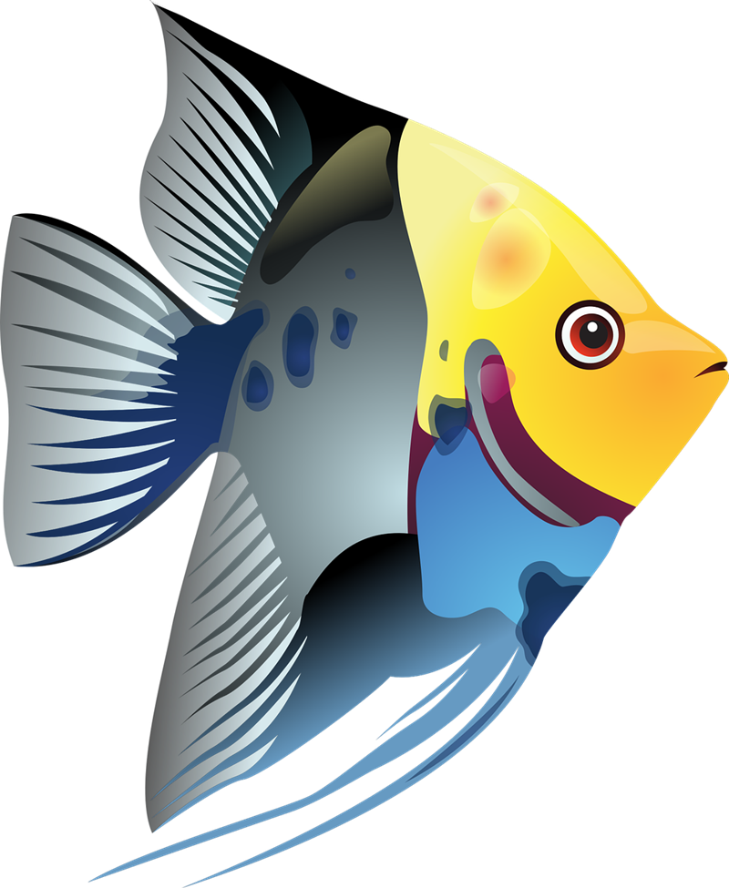 Free Tropical Fish Clip Art