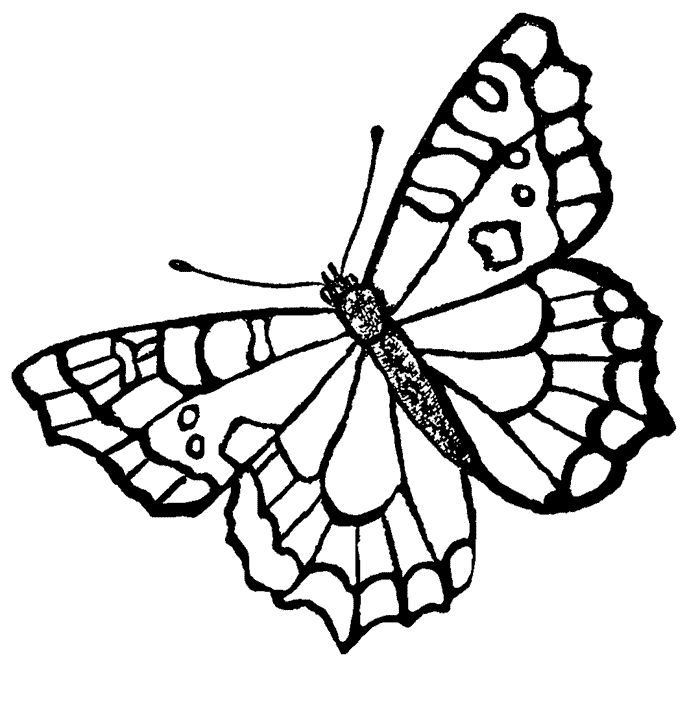 1000+ images about Butterflies | Coloring pages ...